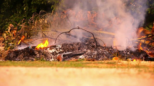 Dry twigs and leaves burn in the campfire. Video shift motion