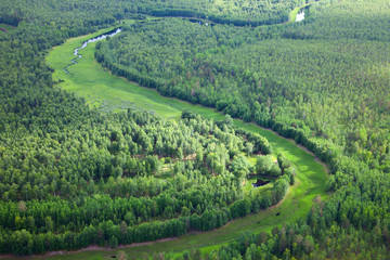 aerial view on the creek in forest