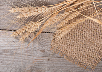 ripe ears of wheat on the old wooden background © Taddeus