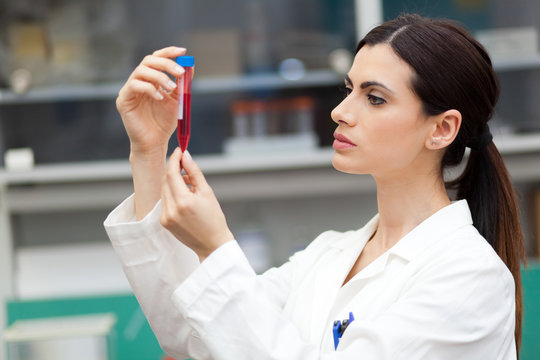 Scientist looking at a test tube