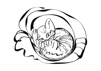 Sleepy cat relaxing in a cozy bed