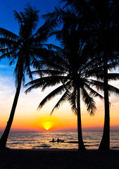 Fototapeta na wymiar sunset on the beach. Palm trees silhouette on sunset tropical b