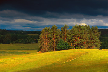 Wiosenne Pola Warmii © Wojciech Lisiński