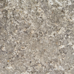 Stone wall fragment