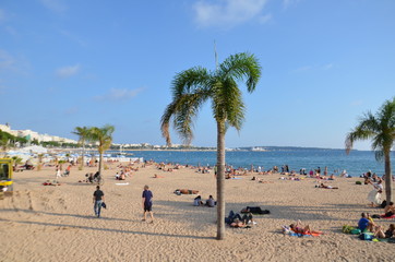 La croisette, plage cannoise