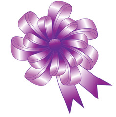 Nice purple bow