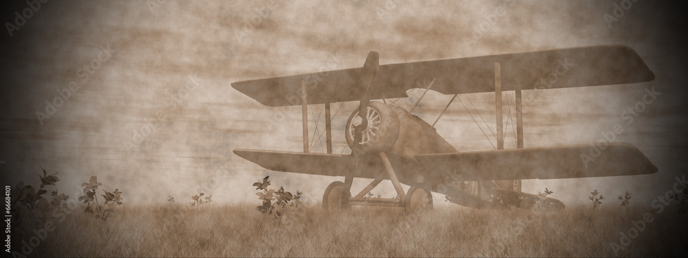 Canvas Prints biplane on the grass - 3d render