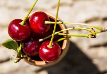 juicy cherries