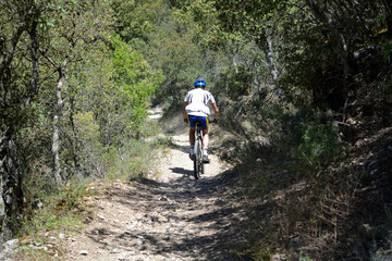 Naklejka premium ciclista bajando por una camino de tierra en verano
