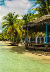 Exotic hut on a beach full of amazing palm trees