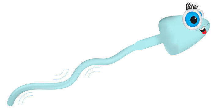 Sperm Cell Cartoon