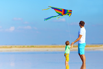 family playing with kite, summertime