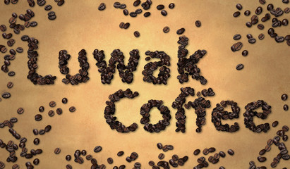 Luwak Coffee Coffee Bean on Old Paper