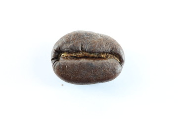 Brown coffee beans on white.