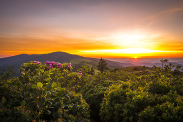 Roan Mountain Sunset