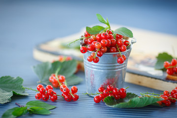 redcurrant
