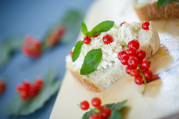 sandwich with cheese and red currants