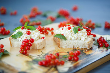 Obraz na płótnie Canvas sandwich with cheese and red currants