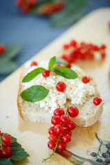 sandwich with cheese and red currants