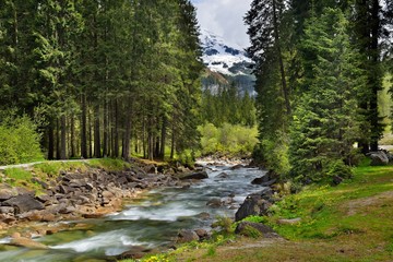 Obraz premium Waldbach im Salzburger Land