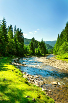 Fototapeta mountain river