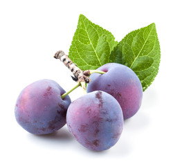 Plums with leaves isolated