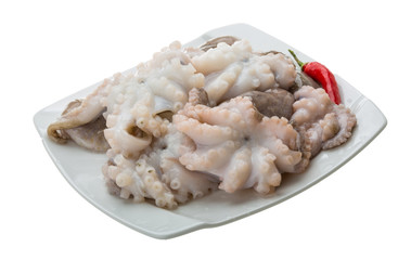 Raw octopus