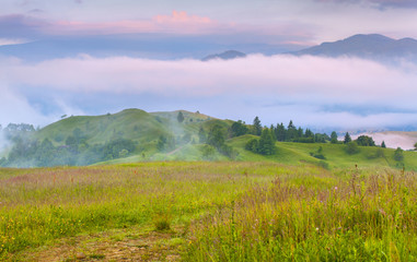 Foggy summer morning in the mountains.