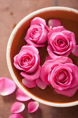 beautiful pink roses bouquet in vase
