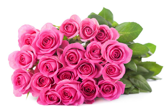 beautiful pink roses bouquet isolated