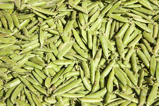 an abundace of green peas
