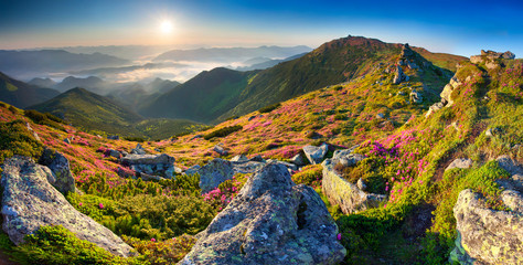 Colorful summer panorama of the mountains.