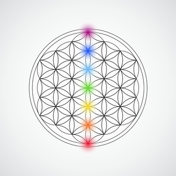 blume des lebens farben