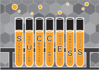 Experimenting elements of business success