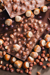 chocolate bars with hazelnuts