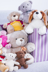 Stuffed animal toys in interior room