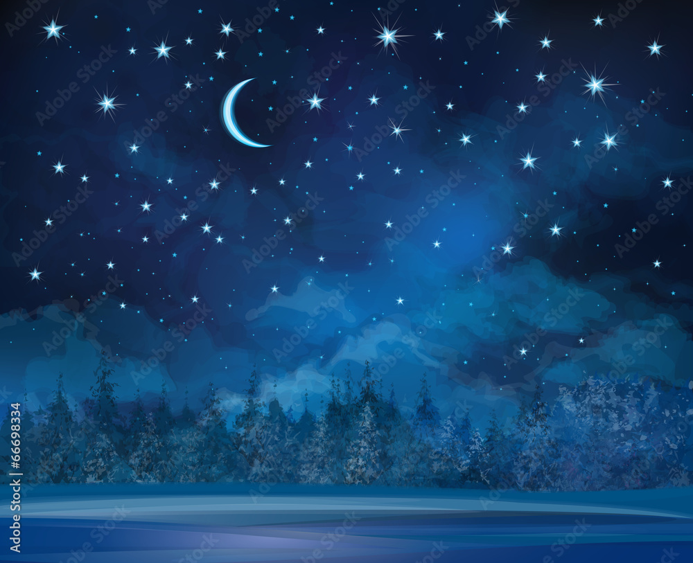 Wall mural vector night winter scene, sky and forest background.
