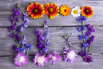 Beautiful wildflowers on wooden background