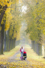 Fototapeta premium woman with a pram on walk in autumnal alley
