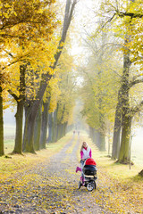 woman with a pram on walk in autumnal alley