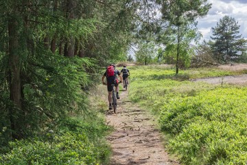 Fototapeta premium Mountainbiker