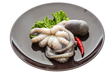 Raw octopus