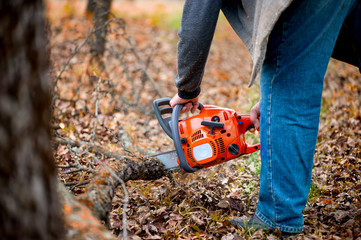 worker with chainsaw cutting firewood in forest