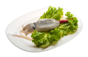 Raw cuttlefish