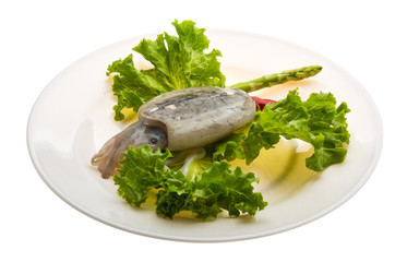 Raw cuttlefish