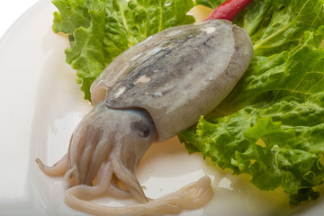 Raw cuttlefish