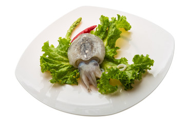 Raw cuttlefish