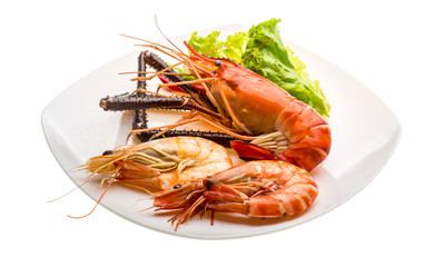 Giant Freshwater Prawn and king prawns