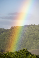 Regenbogen