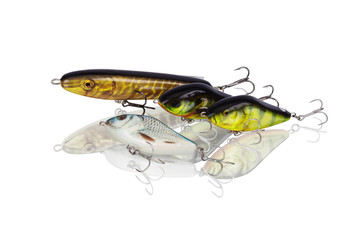 Set spinning lures for predatory fish